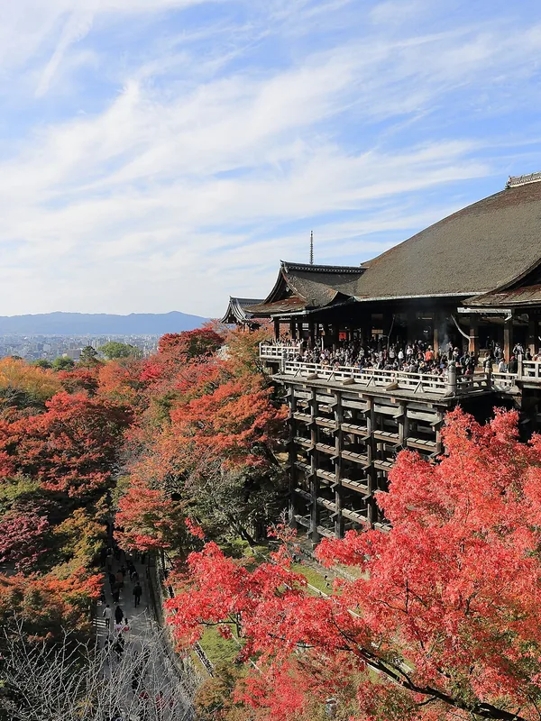 Kiyomizu-dera temple surrounded by autumn foliage in Kyoto, Japan