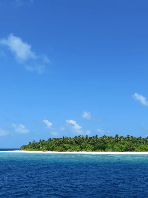 A tropical island surrounded by clear water in the Maldives
